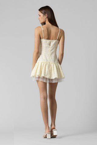 Hollis Gingham Ruffle Mini Dress