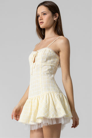 Hollis Gingham Ruffle Mini Dress