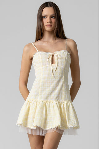 Hollis Gingham Ruffle Mini Dress